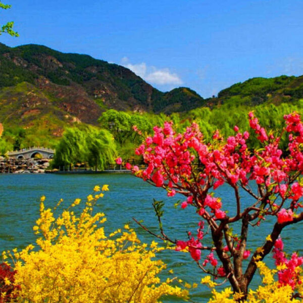 Best Seasons to Visit Kashmir