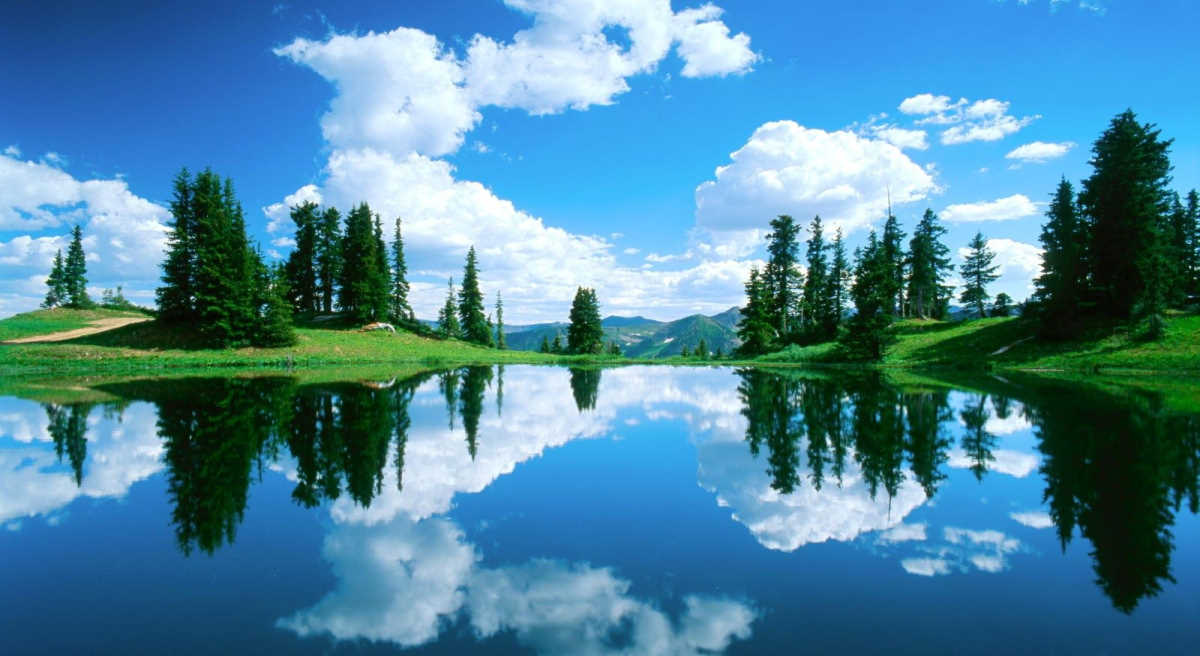 Kashmir 