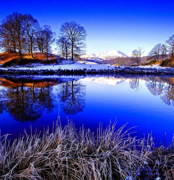 Awesome Kashmir